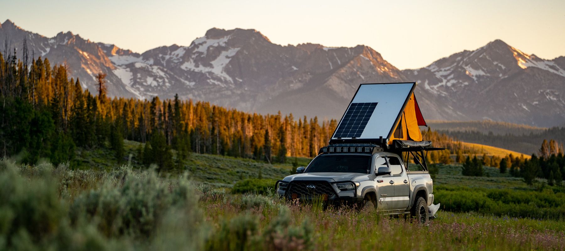 Rigs We Dig: Gainz the 2021 TRD Off Road Toyota Tacoma with Standard Go ...