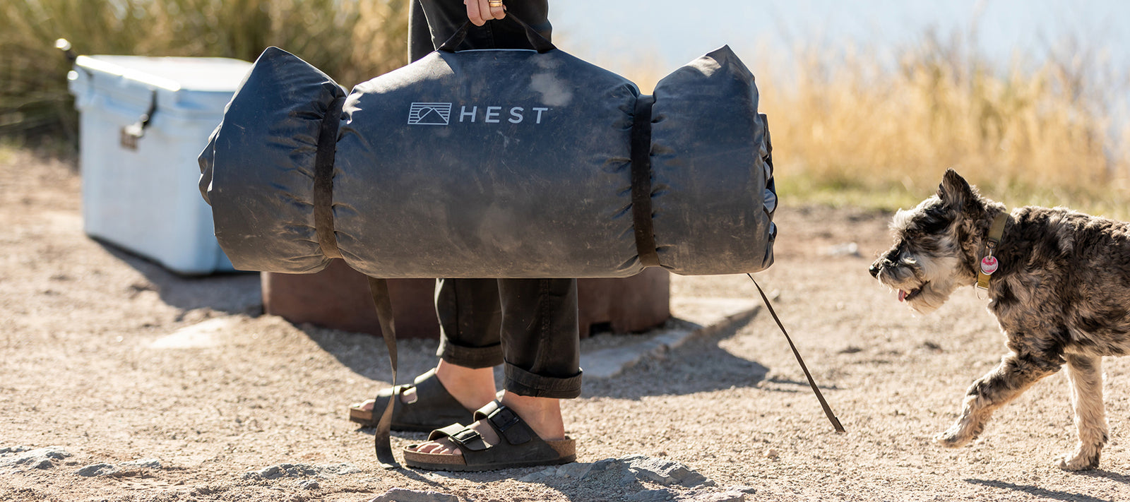 5 Best Dog Friendly Camp Sites Near Denver